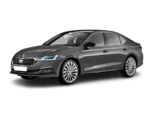 Skoda Octavia IV A8 (2019-н.в.)