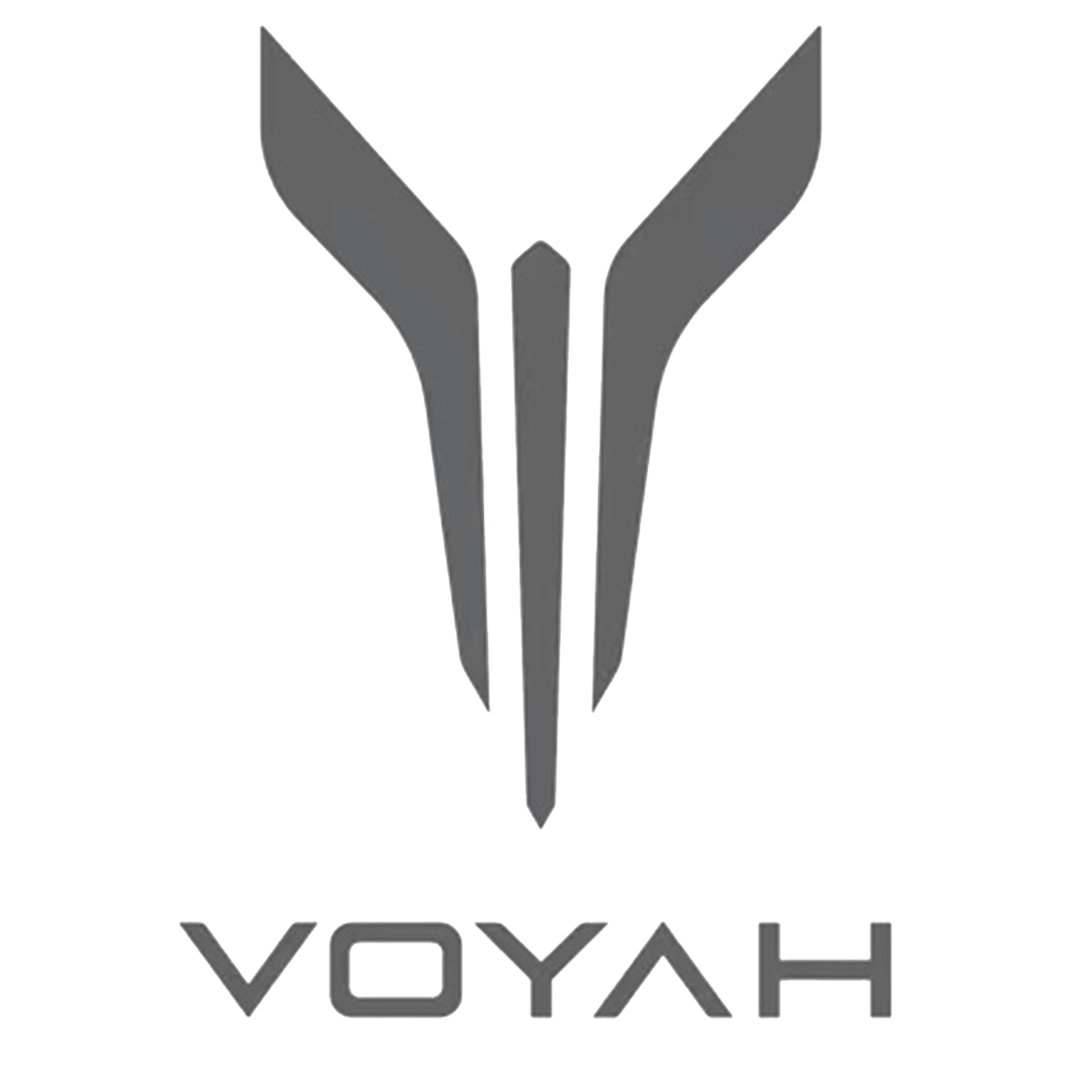 Voyah 